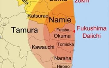 Fukushima Daiichi Nuclear Disaster