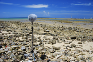 Okinawa Island Archive