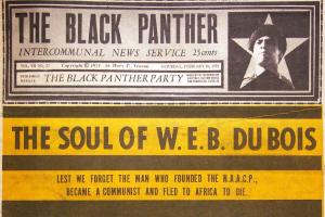 The Black Panther Newspaper